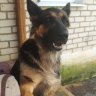 Magomed_Usmaulov